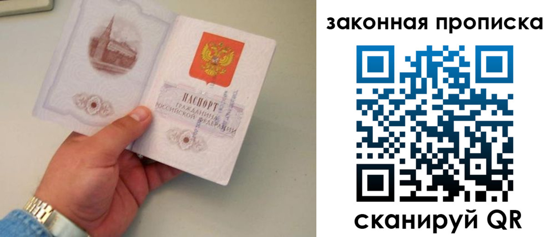 прописка штамп в Павловске